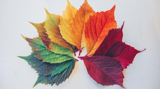 Comment prendre soin de sa peau pendant les changements de saison ?