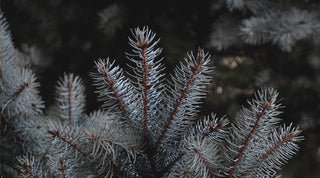 Prendre soin de ma peau en hiver