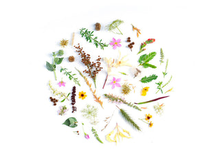 Quelle eau florale contre mes imperfections, boutons et points noirs ?