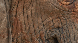 Quel anti-âge choisir pour sa peau ?