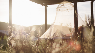 Comment éviter les piqûres de moustique naturellement ?