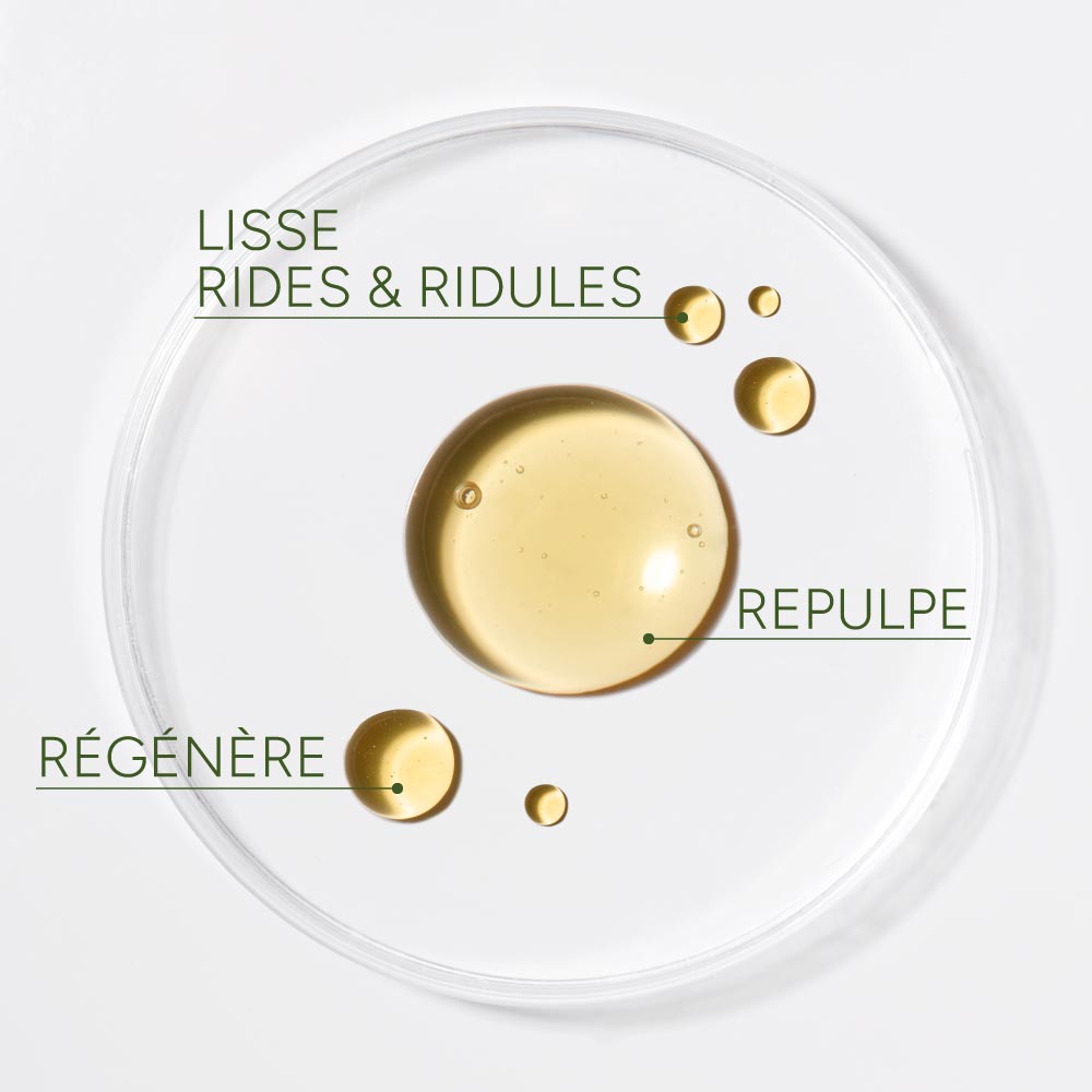 L'huile repulpante & régénérante